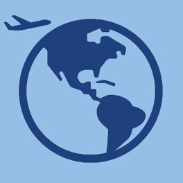 Icon of globe with plane